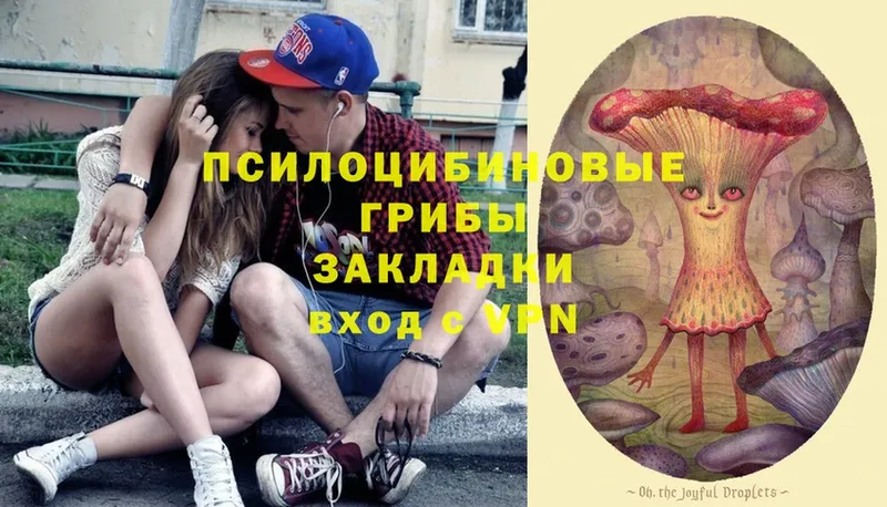 Галлюциногенные грибы Psilocybine cubensis  Красный Сулин 